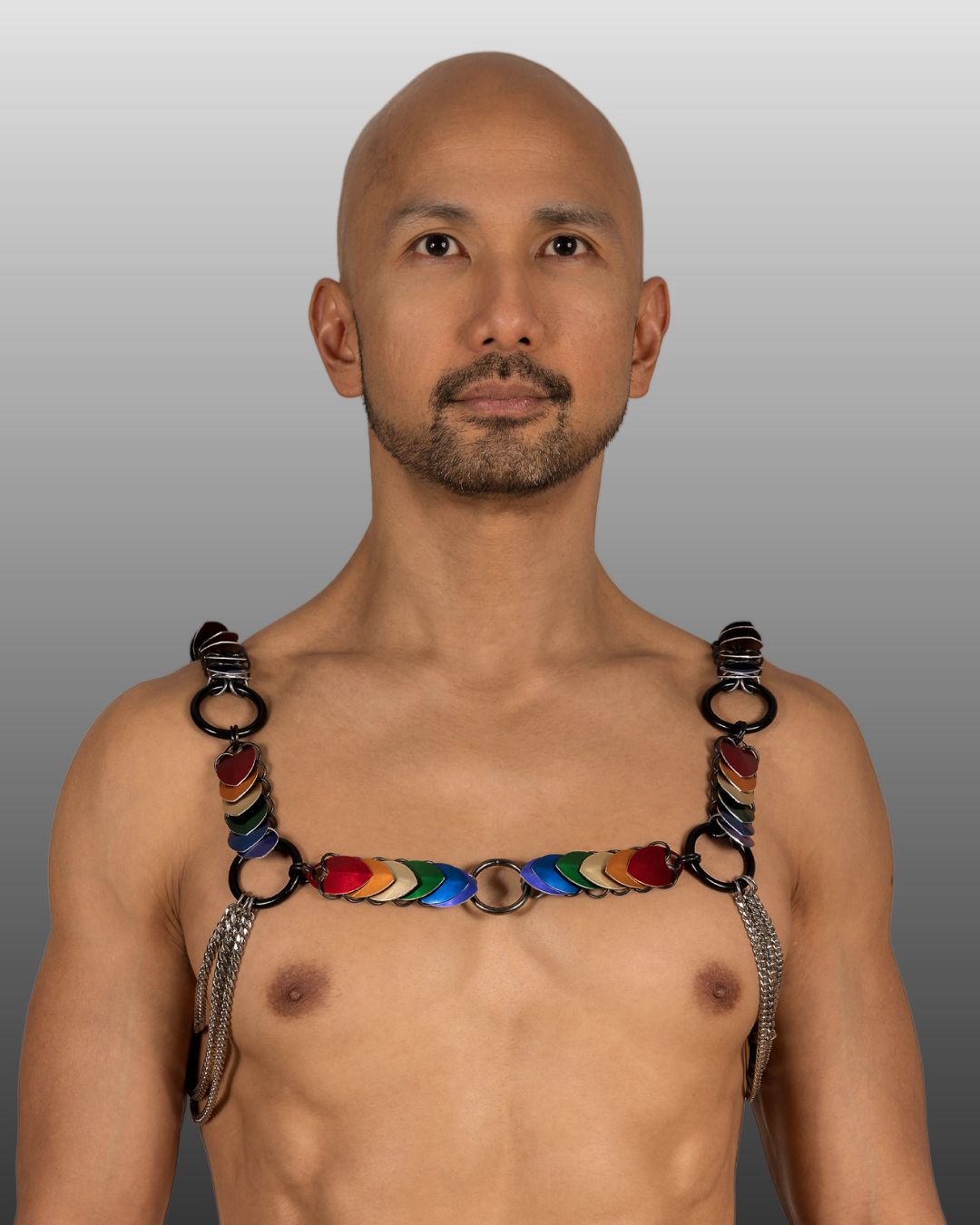 Warrior Edition Harness  -  Aphrodite Desire