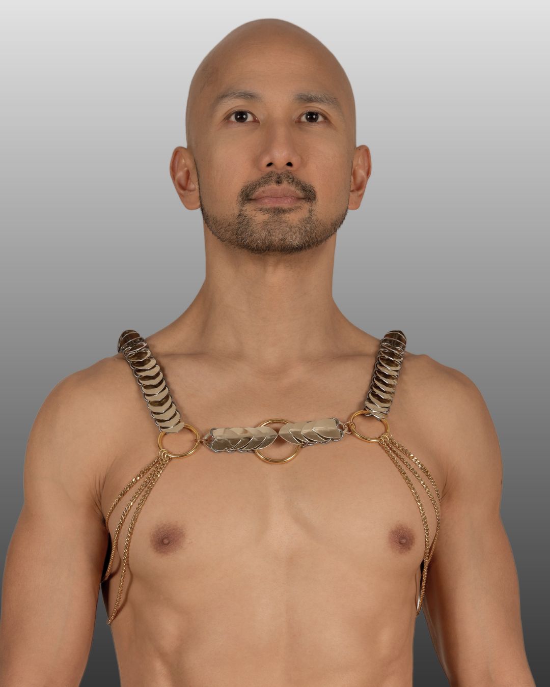 Warrior Edition Harness  -  Aphrodite Desire